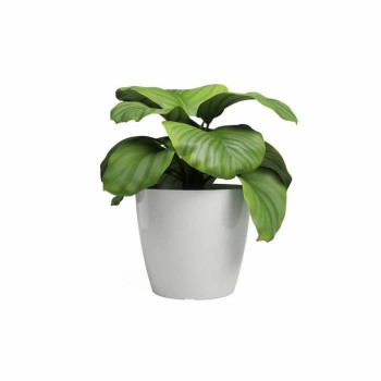 Planter Artevasi SAN REMO White d 36 cm (4 Pieces),,,
