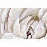 BB_S3013604