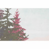 BB_S3017894