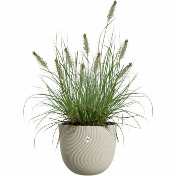 Plant pot Elho Beige 30 x 29,5 x 25 cm,,,