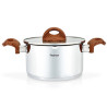 Stockpot ALTEA with 2 spouts with glass lid 24x13.5 cm / 6.1 LTR (stainless steel)