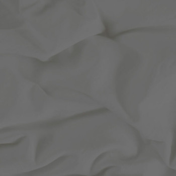 BB_D2103747