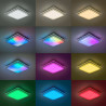 BB_S1906896