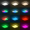 BB_S1906898