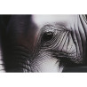 BB_S3060234