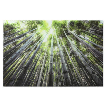 BB_S3060238