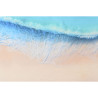 BB_S3060240