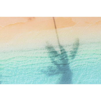 BB_S3060241