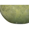 BB_S3061160