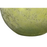 BB_S3061161