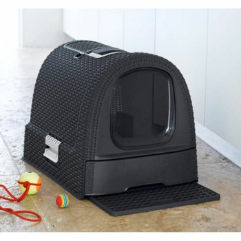 Kassi Liivakass Curver Antratsiithall 51 x 38,5 x 39,5 cm Plastmass (Plastmass)