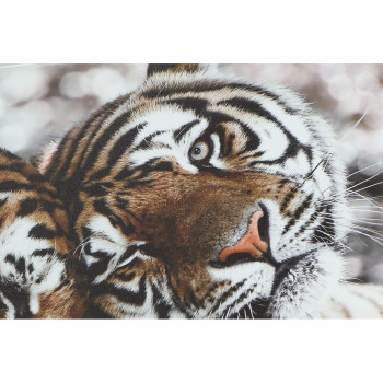 BB_S3018161