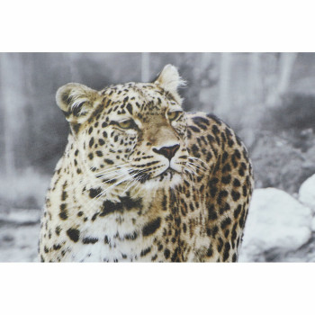 BB_S3018177