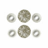 BB_S3019181