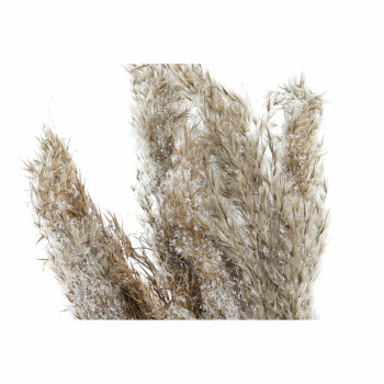 Dekoratiivne Taim DKD Home Decor PVC Suled Naturaalne 35 x 25 x 55 cm (2 Ühikut),,,