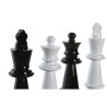 BB_S3043237