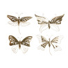 BB_S3060328