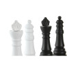BB_S3061339