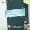 BB_S6105272