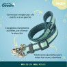 BB_S6105272