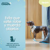 BB_S6105273
