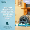 BB_S6105275