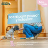 BB_S6105280