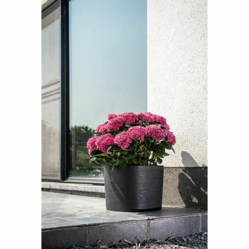 BB_S71009562