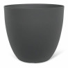 BB_S71011252