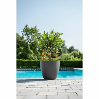 Kabantis šviestuvas Garden ID Phoenix Anthracite Antracito 48 x 42 cm,,,