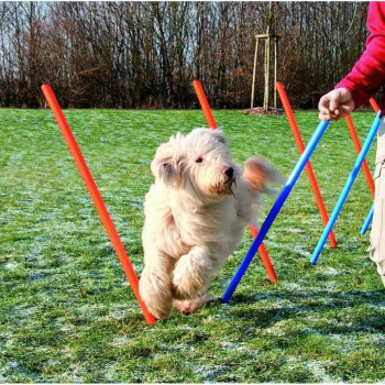 Training toy Trixie,,,