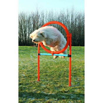 Training toy Trixie,,,