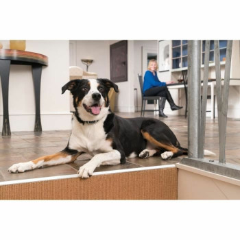 Антибликовый воротник PetSafe Синий