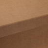 BB_S3419020