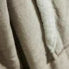BB_S71011569