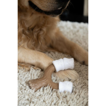 Koera mänguasi Nylabone Pruun Maapähklivõi L,,,