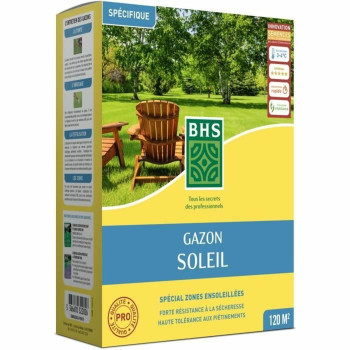 Sėklos BHS 3 Kg,,,
