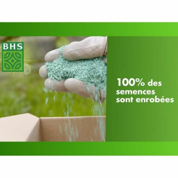 Sėklos BHS 1 kg,,,