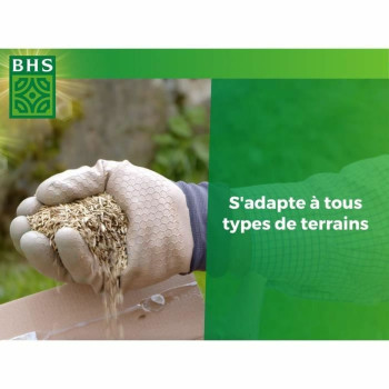 Sėklos BHS 3 Kg,,,