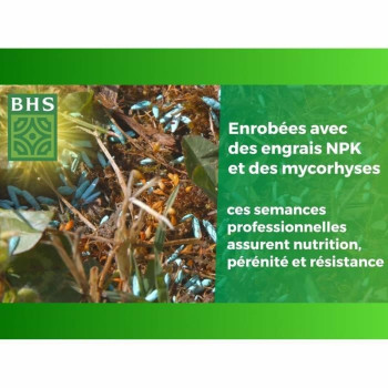 Sėklos BHS 3 Kg,,,