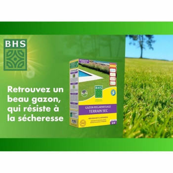 BB_S71014743