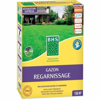 Sėklos BHS 3 Kg,,,