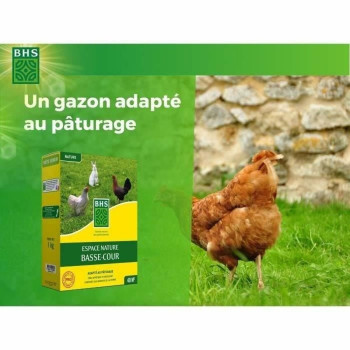 Sėklos BHS 1 kg,,,