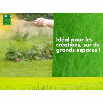 BB_S71015047