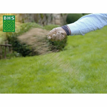 BB_S71015056
