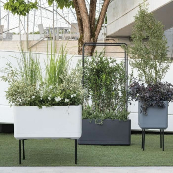 Stiklainis Deroma Pilka 38 x 38 x 39 cm Plastmasinis Kvadratai Kubas 38 cm,,,