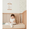 BB_S71018024