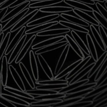 BB_S71017297