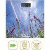 BB_S71016993