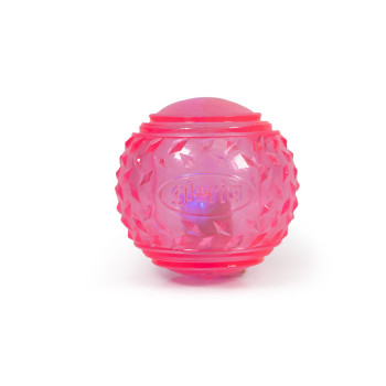 Lemmiklooma Pall Gloria PLAY AND RUN Roosa TPR 6,35 cm,,,